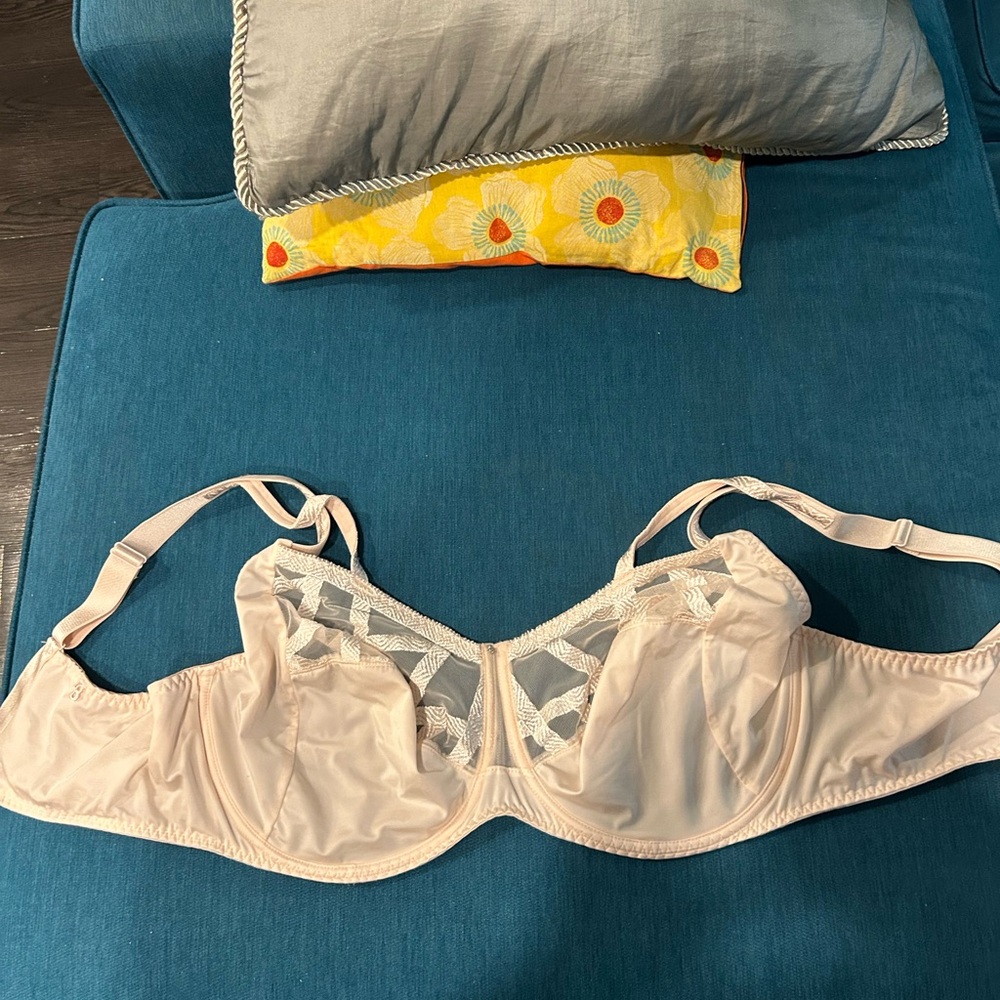 Louisa Bracq Serie Beige Sheer Bra in Bisou